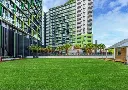 Garden.webp